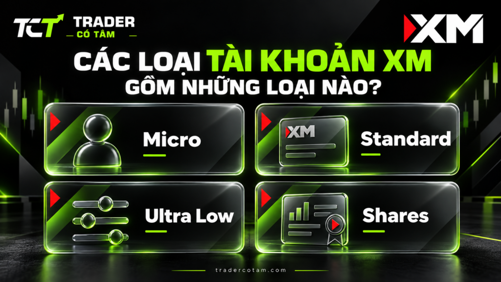 Các loại tài khoản XM gồm những loại nào: Micro, Standard, Ultra Low và Shares