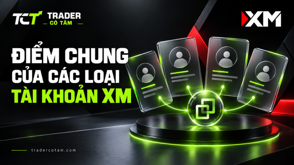 Điểm chung của các loại tài khoản XM về nền tảng, điều kiện và quản lý trong một hồ sơ