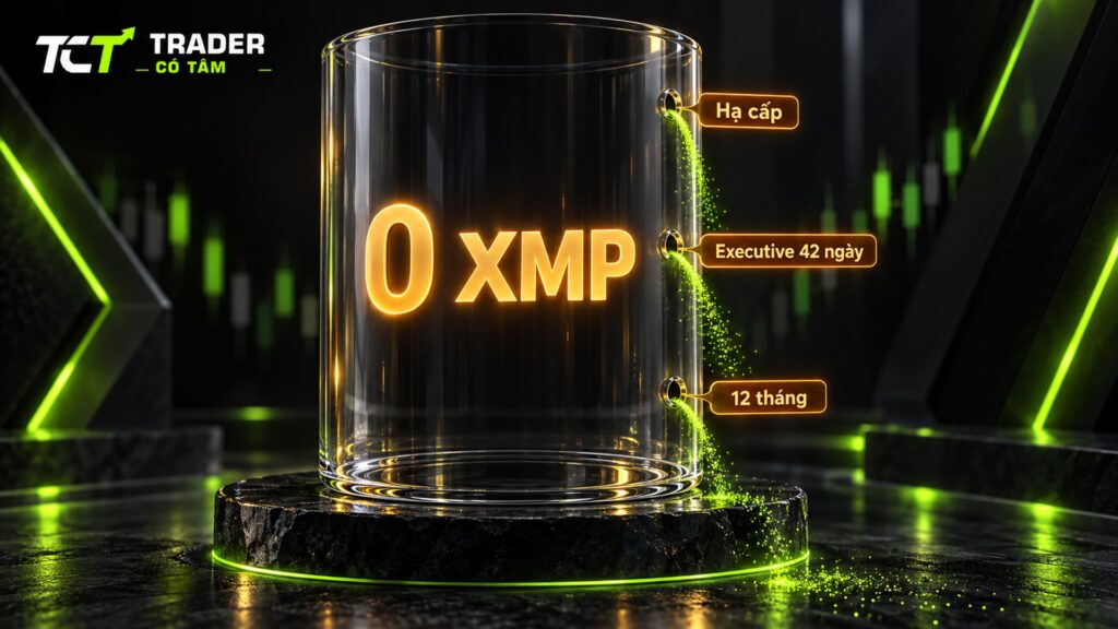 Khi nào XM Loyalty Points bị mất: hạ cấp, Executive 42 ngày không giao dịch, quá 12 tháng chưa đổi