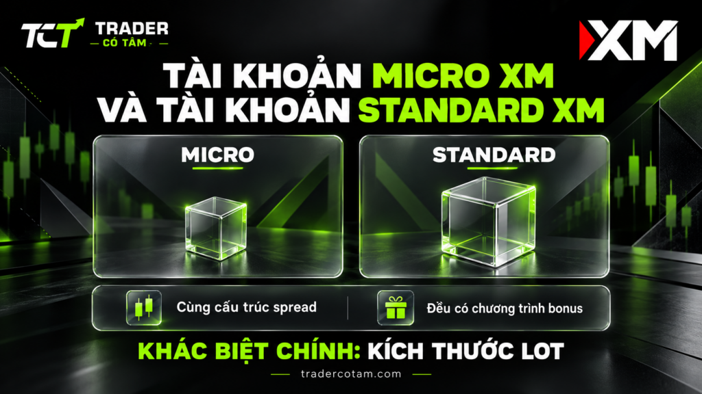 Tài khoản Micro XM và tài khoản Standard XM khác nhau chính ở kích thước lot