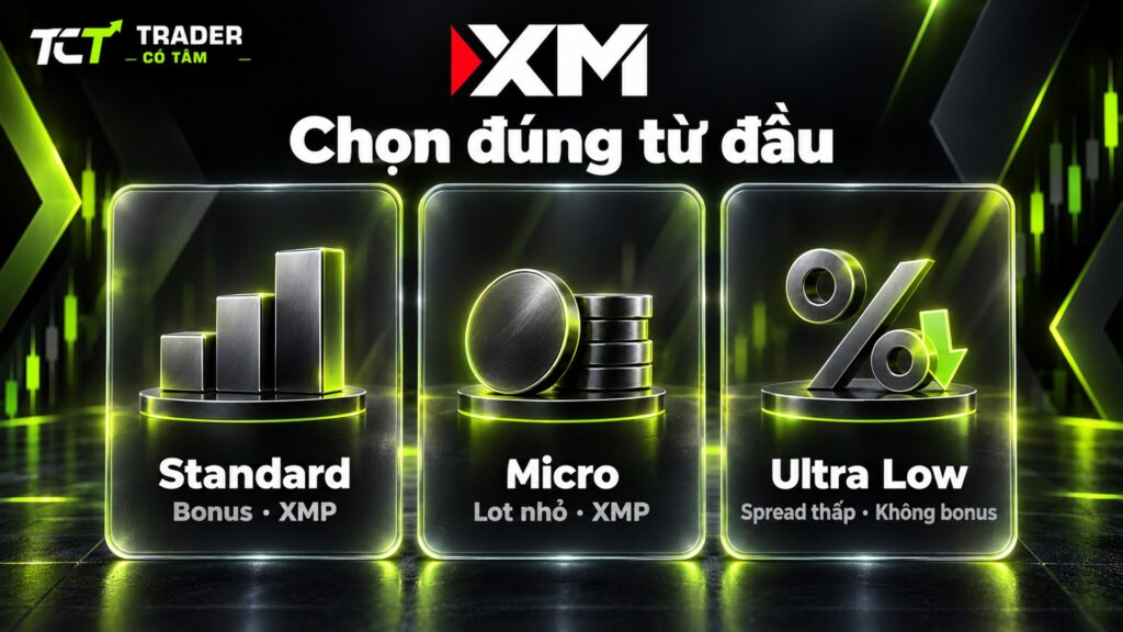 Chọn loại trước khi tạo tài khoản XM: Standard có bonus và XMP, Micro lot nhỏ, Ultra Low spread thấp không bonus